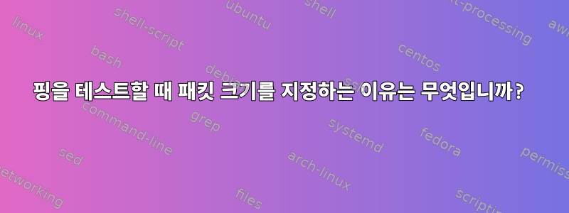 핑을 테스트할 때 패킷 크기를 지정하는 이유는 무엇입니까?