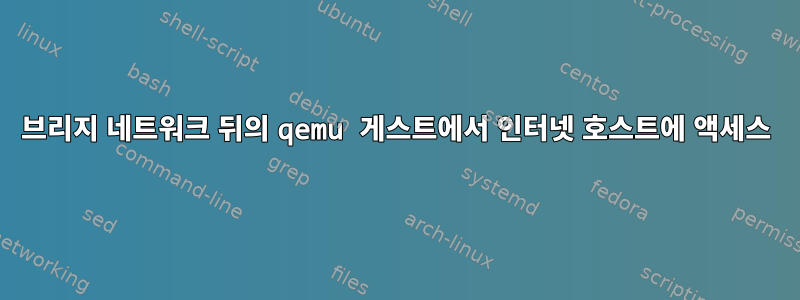 브리지 네트워크 뒤의 qemu 게스트에서 인터넷 호스트에 액세스