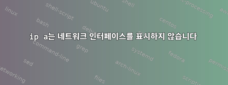 ip a는 네트워크 인터페이스를 표시하지 않습니다