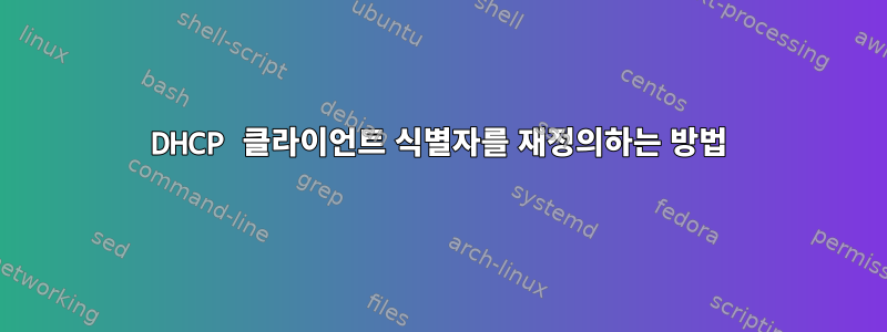 DHCP 클라이언트 식별자를 재정의하는 방법