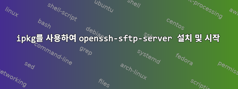 ipkg를 사용하여 openssh-sftp-server 설치 및 시작