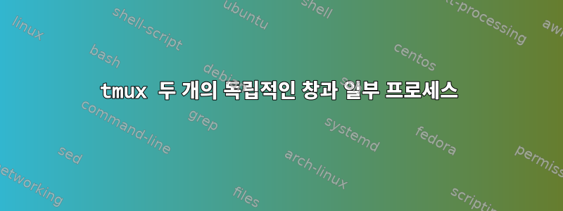 tmux 두 개의 독립적인 창과 일부 프로세스