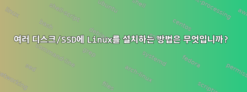 여러 디스크/SSD에 Linux를 설치하는 방법은 무엇입니까?