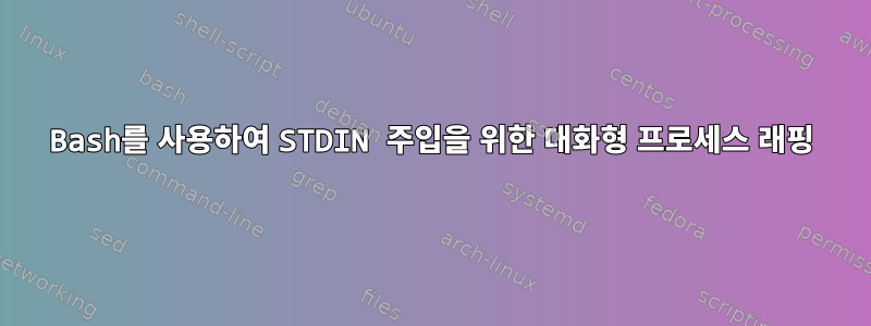 Bash를 사용하여 STDIN 주입을 위한 대화형 프로세스 래핑