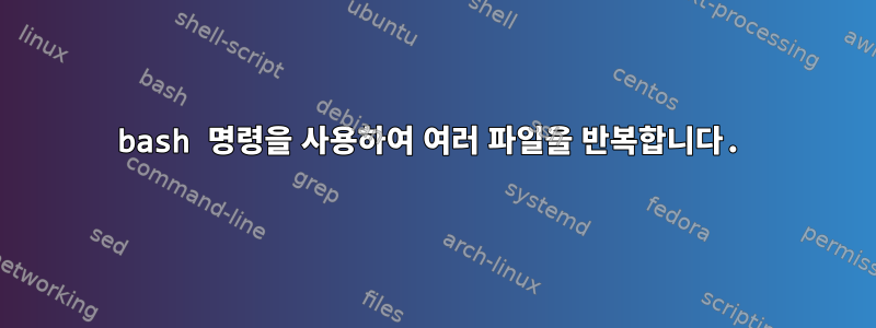 bash 명령을 사용하여 여러 파일을 반복합니다.