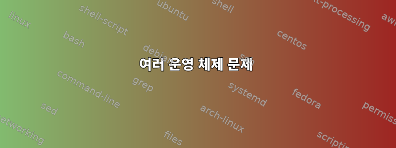 여러 운영 체제 문제