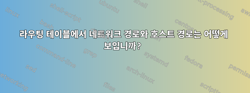 라우팅 테이블에서 네트워크 경로와 호스트 경로는 어떻게 보입니까?