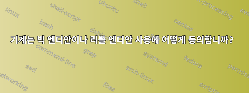 기계는 빅 엔디안이나 리틀 엔디안 사용에 어떻게 동의합니까?