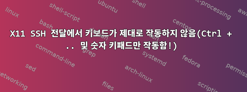 X11 SSH 전달에서 키보드가 제대로 작동하지 않음(Ctrl + .. 및 숫자 키패드만 작동함!)