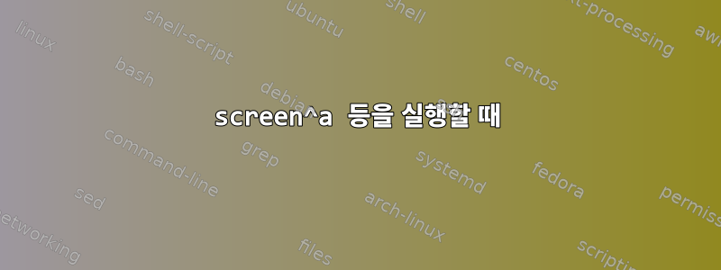 screen^a 등을 실행할 때