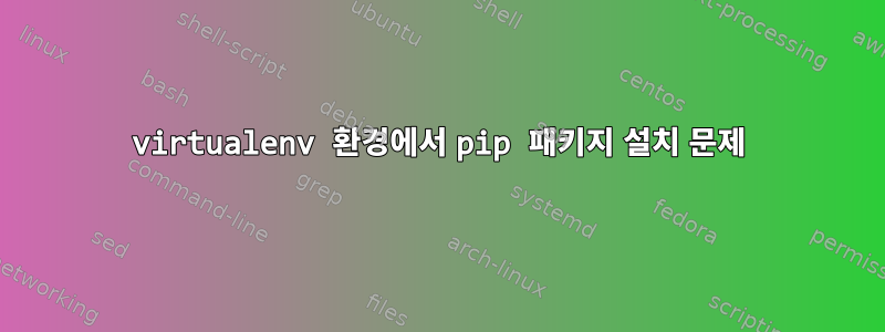 virtualenv 환경에서 pip 패키지 설치 문제