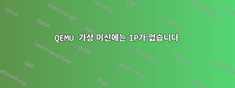 QEMU 가상 머신에는 IP가 없습니다