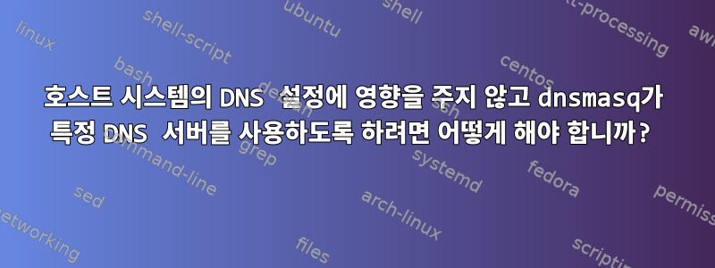 호스트 시스템의 DNS 설정에 영향을 주지 않고 dnsmasq가 특정 DNS 서버를 사용하도록 하려면 어떻게 해야 합니까?