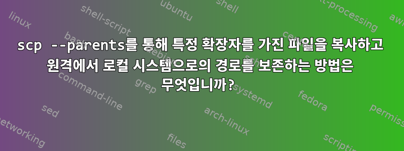 scp --parents를 통해 특정 확장자를 가진 파일을 복사하고 원격에서 로컬 시스템으로의 경로를 보존하는 방법은 무엇입니까?