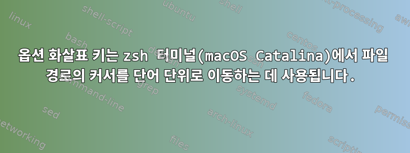 옵션 화살표 키는 zsh 터미널(macOS Catalina)에서 파일 경로의 커서를 단어 단위로 이동하는 데 사용됩니다.