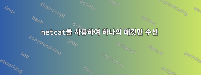 netcat을 사용하여 하나의 패킷만 수신