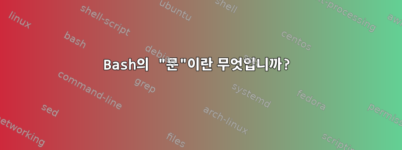 Bash의 "문"이란 무엇입니까?