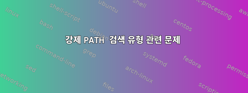 강제 PATH 검색 유형 관련 문제