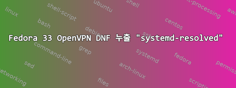 Fedora 33 OpenVPN DNF 누출 "systemd-resolved"