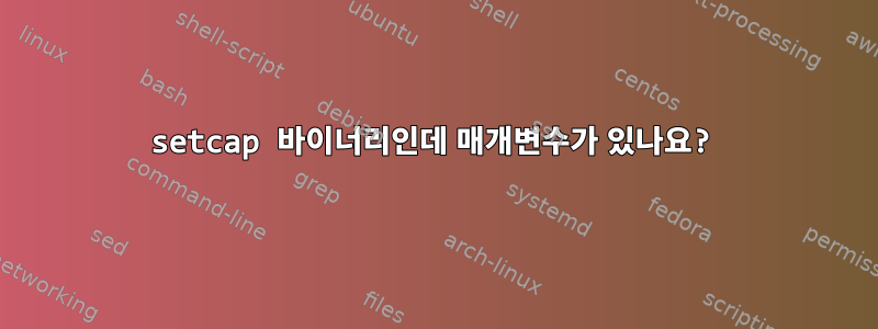 setcap 바이너리인데 매개변수가 있나요?