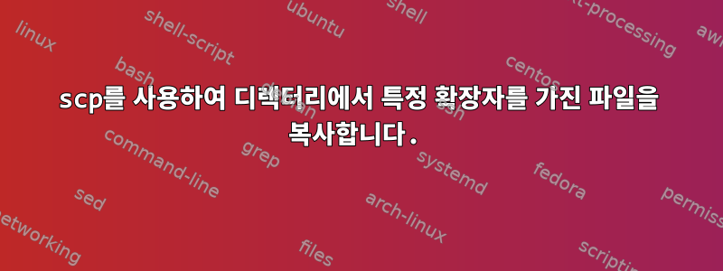 scp를 사용하여 디렉터리에서 특정 확장자를 가진 파일을 복사합니다.