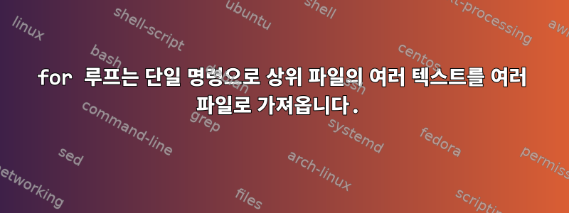 for 루프는 단일 명령으로 상위 파일의 여러 텍스트를 여러 파일로 가져옵니다.