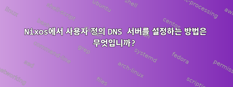 Nixos에서 사용자 정의 DNS 서버를 설정하는 방법은 무엇입니까?