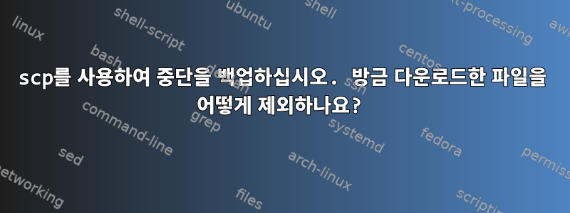 scp를 사용하여 중단을 백업하십시오. 방금 다운로드한 파일을 어떻게 제외하나요?