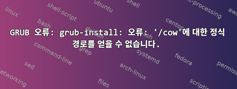 GRUB 오류: grub-install: 오류: '/cow'에 대한 정식 경로를 얻을 수 없습니다.