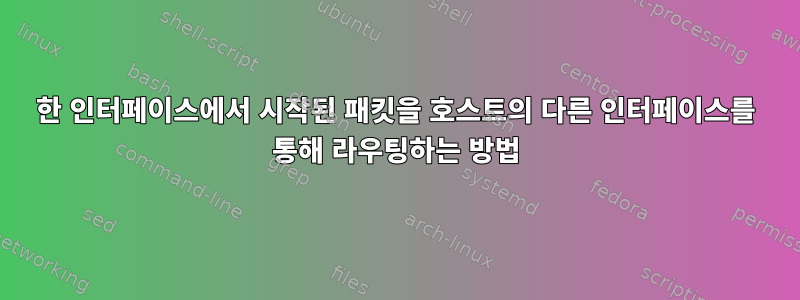 한 인터페이스에서 시작된 패킷을 호스트의 다른 인터페이스를 통해 라우팅하는 방법