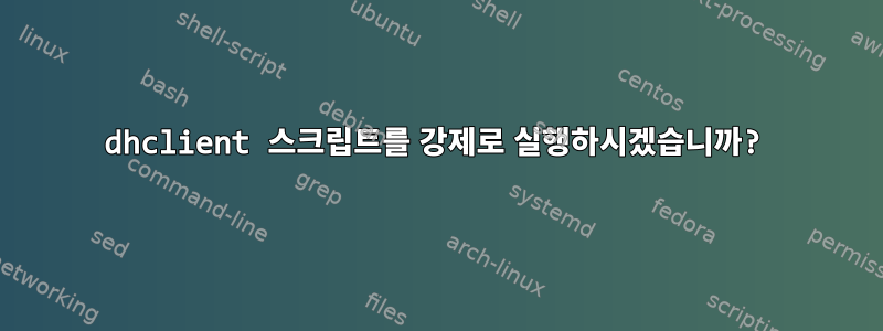 dhclient 스크립트를 강제로 실행하시겠습니까?