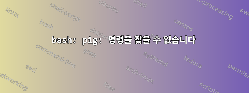 bash: pig: 명령을 찾을 수 없습니다