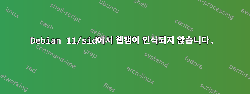 Debian 11/sid에서 웹캠이 인식되지 않습니다.