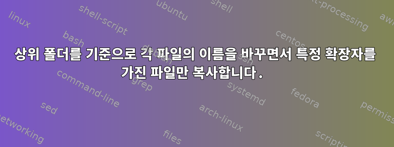 상위 폴더를 기준으로 각 파일의 이름을 바꾸면서 특정 확장자를 가진 파일만 복사합니다.