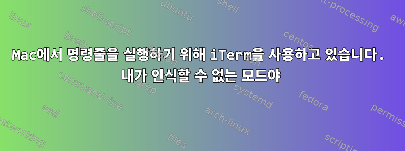 Mac에서 명령줄을 실행하기 위해 iTerm을 사용하고 있습니다. 내가 인식할 수 없는 모드야