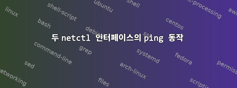 두 netctl 인터페이스의 ping 동작