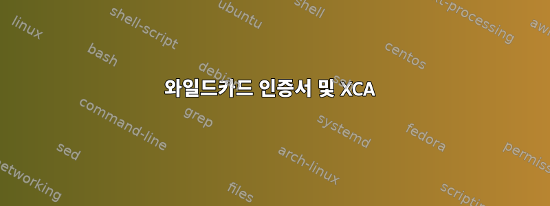 와일드카드 인증서 및 XCA