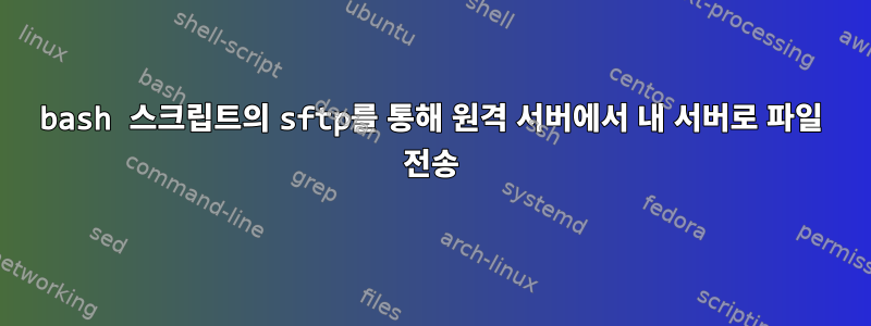 bash 스크립트의 sftp를 통해 원격 서버에서 내 서버로 파일 전송