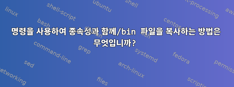 명령을 사용하여 종속성과 함께/bin 파일을 복사하는 방법은 무엇입니까?