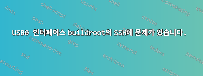 USB0 인터페이스 buildroot의 SSH에 문제가 있습니다.