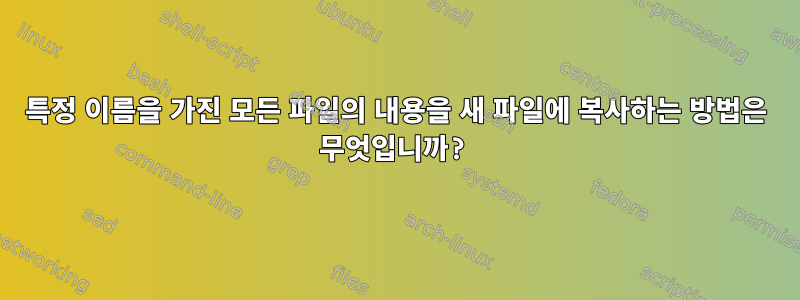 특정 이름을 가진 모든 파일의 내용을 새 파일에 복사하는 방법은 무엇입니까?