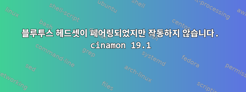 블루투스 헤드셋이 페어링되었지만 작동하지 않습니다. cinamon 19.1