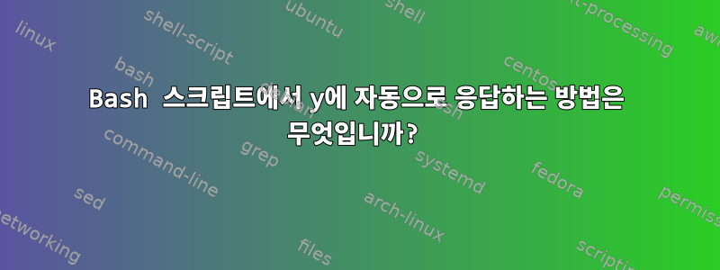 Bash 스크립트에서 y에 자동으로 응답하는 방법은 무엇입니까?