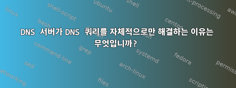 DNS 서버가 DNS 쿼리를 자체적으로만 해결하는 이유는 무엇입니까?