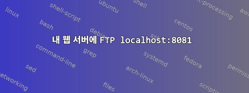 내 웹 서버에 FTP localhost:8081