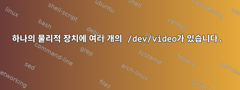 하나의 물리적 장치에 여러 개의 /dev/video가 있습니다.