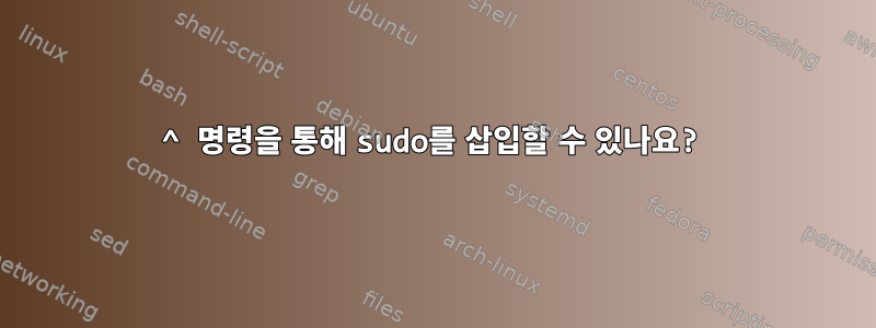 ^ 명령을 통해 sudo를 삽입할 수 있나요?