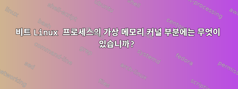 64비트 Linux 프로세스의 가상 메모리 커널 부분에는 무엇이 있습니까?