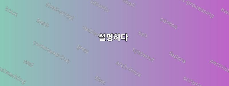 설명하다