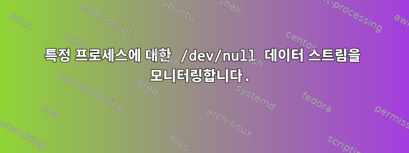 특정 프로세스에 대한 /dev/null 데이터 스트림을 모니터링합니다.